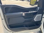 2025 F-150 Lightning Thumbnail 12