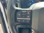 2025 F-150 Lightning Thumbnail 19