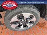 2025 F-150 Lightning Thumbnail 10