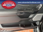 2025 F-150 Lightning Thumbnail 12