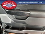 2025 F-150 Lightning Thumbnail 17