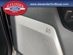2025 F-150 Lightning Thumbnail 21