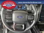 2025 F-150 Lightning Thumbnail 24
