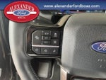 2025 F-150 Lightning Thumbnail 25