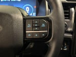 2025 F-150 Lightning Thumbnail 24
