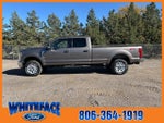 2019 F-250 Super Duty Thumbnail 3