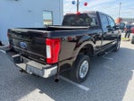 2019 F-250 Super Duty Thumbnail 8