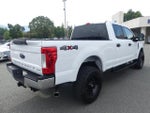 2019 F-250 Super Duty Thumbnail 5