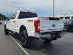 2019 F-250 Super Duty Thumbnail 7