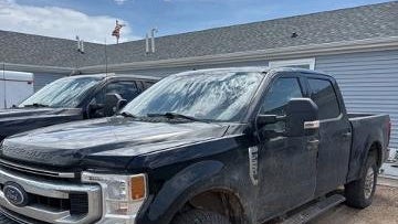 Preowned 2020 Ford F-250 Super Duty King Ranch for Sale
