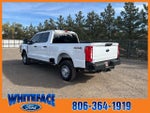 2023 F-250 Super Duty Thumbnail 4