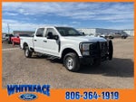 2023 F-250 Super Duty Thumbnail 9