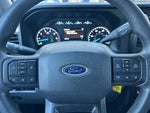 2025 F-250 Super Duty Thumbnail 20