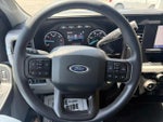 2025 F-250 Super Duty Thumbnail 19