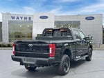 2022 F-250 Super Duty Thumbnail 31