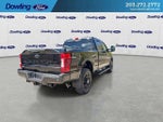 2022 F-250 Super Duty Thumbnail 8