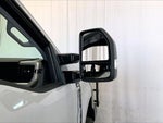 2025 F-250 Super Duty Thumbnail 11