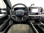 2025 F-250 Super Duty Thumbnail 14