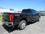 2023 F-250 Super Duty Thumbnail 10