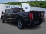 2025 F-250 Super Duty Thumbnail 4