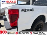 2022 F-250 Super Duty Thumbnail 7