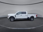 2025 F-250 Super Duty Thumbnail 4