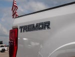 2020 F-250 Super Duty Thumbnail 11