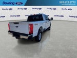 2025 F-250 Super Duty Thumbnail 3