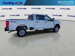 2025 F-250 Super Duty Thumbnail 4