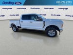 2025 F-250 Super Duty Thumbnail 5