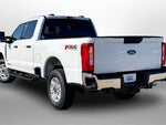2025 F-250 Super Duty Thumbnail 10