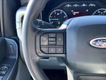 2025 F-250 Super Duty Thumbnail 18