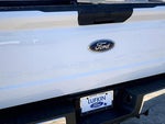 2025 F-250 Super Duty Thumbnail 31