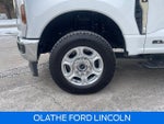 2025 F-250 Super Duty Thumbnail 27