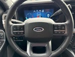 2025 F-250 Super Duty Thumbnail 25