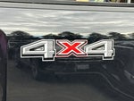 2025 F-250 Super Duty Thumbnail 29