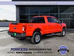 2017 F-250 Super Duty Thumbnail 5