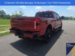 2025 F-250 Super Duty Thumbnail 13