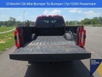 2025 F-250 Super Duty Thumbnail 15