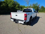 2025 F-250 Super Duty Thumbnail 10