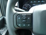 2024 F-250 Super Duty Thumbnail 17