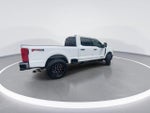 2025 F-250 Super Duty Thumbnail 9