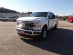 2024 F-250 Super Duty Thumbnail 4