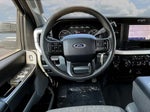 2025 F-250 Super Duty Thumbnail 11