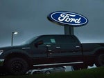 2025 F-250 Super Duty Thumbnail 6