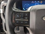 2025 F-250 Super Duty Thumbnail 34
