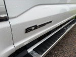 2025 F-250 Super Duty Thumbnail 6