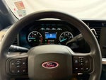2024 F-250 Super Duty Thumbnail 11