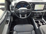 2025 F-250 Super Duty Thumbnail 11