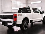 2025 F-250 Super Duty Thumbnail 7